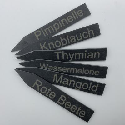 Pflanzstecker